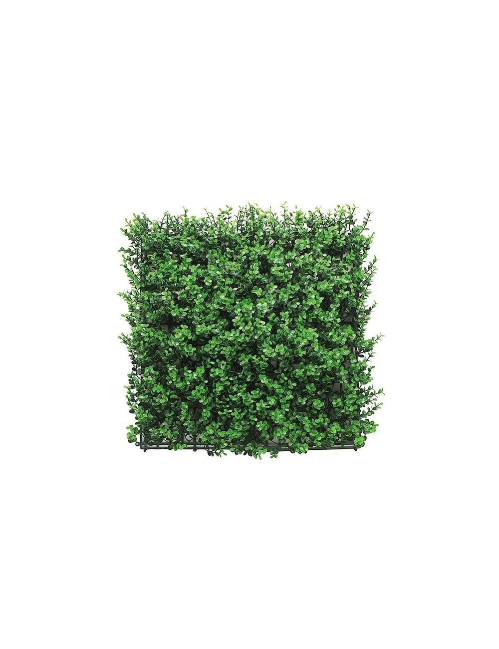 Jardín Vertical Trebol Green
